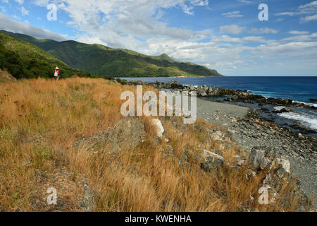 L'un des routes avec une vue sur la côte cubaine au pied de montagnes Sierra Maestra et au-dessus de la côte de la mer des Caraïbes Banque D'Images