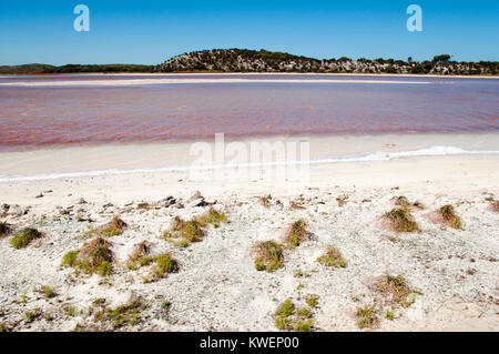 Le Lac Rose - Rottnest Island - Australie Banque D'Images