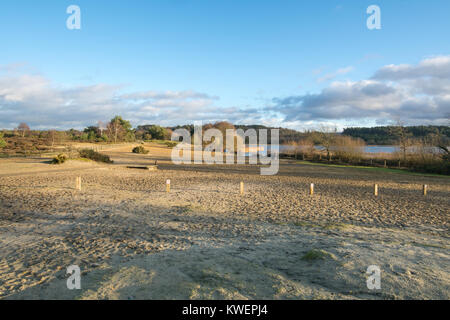 Vue sur la plage de Frensham Great Pond près de Farnham, dans le Surrey, au Royaume-Uni. La fin de l'après-midi en hiver. Banque D'Images