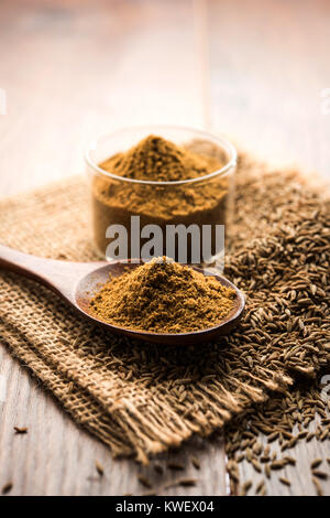 Les graines de cumin ou Jeera (poudre de cumin ), selective focus Banque D'Images