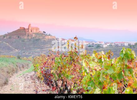 Vignobles dans la province de La Rioja en Espagne. Banque D'Images