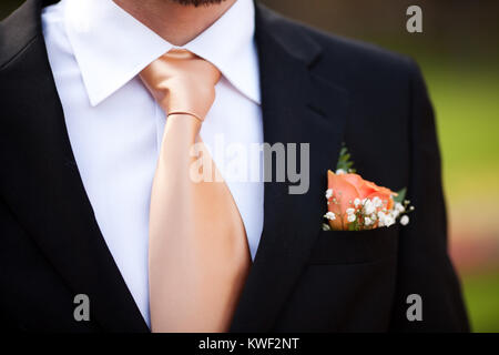 Avec boutonnière du marié de détail rose wedding dressup Banque D'Images