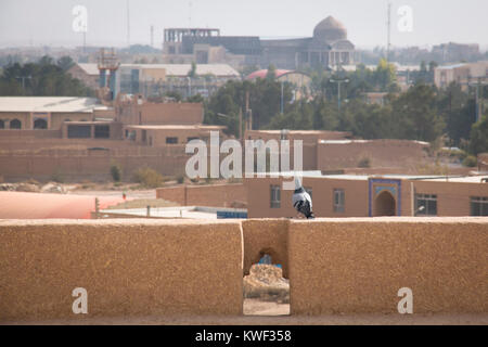 Vue sur la ville ancienne de Meybod en Iran à partir de l'Narin Qala"eh (Qaleh château d'argile) Banque D'Images