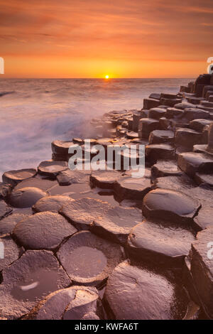 Coucher de soleil sur la roche de basalte de la Chaussée des géants sur la côte nord de l'Irlande du Nord.