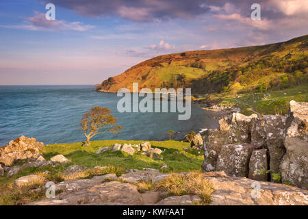 La lumière du soleil du soir sur l'idyllique Murlough Bay sur la côte de Causeway d'Irlande du Nord. Banque D'Images