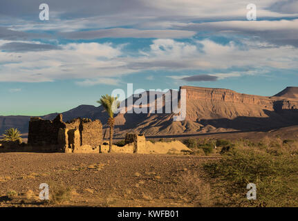 Image paysage marocain d'arbres et de relief accidenté. Banque D'Images