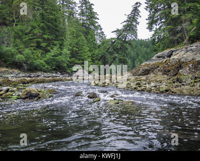 L'eau à marée basse se précipite d'un lagon d'eau salée, la création de bulles d'air en aval de l'étroite entrée. À marée haute le flux inverse (Colombie-Britannique). Banque D'Images