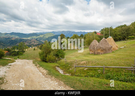 Hayricks traditionnel, Magura, un village situé dans les contreforts des Carpates dans le parc national de Piatra Craiului, Transylvanie, Roumanie Banque D'Images