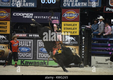 HOLLYWOOD FL - 12 octobre : Le Bull riders professionnels ont ajouté un 27ème cas de la série 2013 Construit Ford Tough l'annexe. L'Hard Rock Live à Hollywood, en Floride, sera l'hôte de la dernière manifestation de la saison régulière de la premiere série bull riding seulement deux semaines avant sa Finale Mondiale 2013 à Las Vegas au Hard Rock Live eu lieu au Seminole Hard Rock Hotel & Casino le 12 octobre 2013 à Hollywood, en Floride . People : Professional Bull Riders Banque D'Images