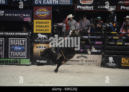 HOLLYWOOD FL - 12 octobre : Le Bull riders professionnels ont ajouté un 27ème cas de la série 2013 Construit Ford Tough l'annexe. L'Hard Rock Live à Hollywood, en Floride, sera l'hôte de la dernière manifestation de la saison régulière de la premiere série bull riding seulement deux semaines avant sa Finale Mondiale 2013 à Las Vegas au Hard Rock Live eu lieu au Seminole Hard Rock Hotel & Casino le 12 octobre 2013 à Hollywood, en Floride . People : Professional Bull Riders Banque D'Images