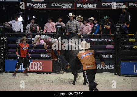 HOLLYWOOD FL - 12 octobre : Le Bull riders professionnels ont ajouté un 27ème cas de la série 2013 Construit Ford Tough l'annexe. L'Hard Rock Live à Hollywood, en Floride, sera l'hôte de la dernière manifestation de la saison régulière de la premiere série bull riding seulement deux semaines avant sa Finale Mondiale 2013 à Las Vegas au Hard Rock Live eu lieu au Seminole Hard Rock Hotel & Casino le 12 octobre 2013 à Hollywood, en Floride . People : Professional Bull Riders Banque D'Images