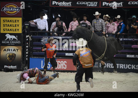 HOLLYWOOD FL - 12 octobre : Le Bull riders professionnels ont ajouté un 27ème cas de la série 2013 Construit Ford Tough l'annexe. L'Hard Rock Live à Hollywood, en Floride, sera l'hôte de la dernière manifestation de la saison régulière de la premiere série bull riding seulement deux semaines avant sa Finale Mondiale 2013 à Las Vegas au Hard Rock Live eu lieu au Seminole Hard Rock Hotel & Casino le 12 octobre 2013 à Hollywood, en Floride . People : Professional Bull Riders Banque D'Images