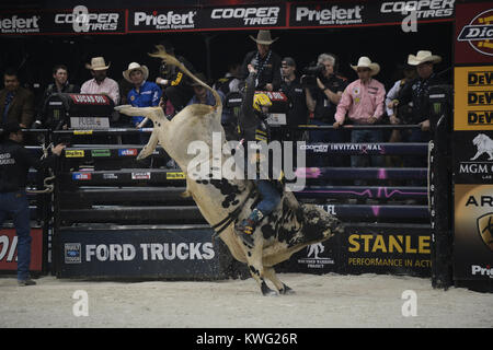 HOLLYWOOD FL - 12 octobre : Le Bull riders professionnels ont ajouté un 27ème cas de la série 2013 Construit Ford Tough l'annexe. L'Hard Rock Live à Hollywood, en Floride, sera l'hôte de la dernière manifestation de la saison régulière de la premiere série bull riding seulement deux semaines avant sa Finale Mondiale 2013 à Las Vegas au Hard Rock Live eu lieu au Seminole Hard Rock Hotel & Casino le 12 octobre 2013 à Hollywood, en Floride . People : Professional Bull Riders Banque D'Images