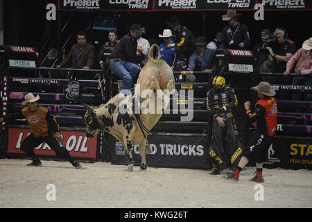 HOLLYWOOD FL - 12 octobre : Le Bull riders professionnels ont ajouté un 27ème cas de la série 2013 Construit Ford Tough l'annexe. L'Hard Rock Live à Hollywood, en Floride, sera l'hôte de la dernière manifestation de la saison régulière de la premiere série bull riding seulement deux semaines avant sa Finale Mondiale 2013 à Las Vegas au Hard Rock Live eu lieu au Seminole Hard Rock Hotel & Casino le 12 octobre 2013 à Hollywood, en Floride . People : Professional Bull Riders Banque D'Images