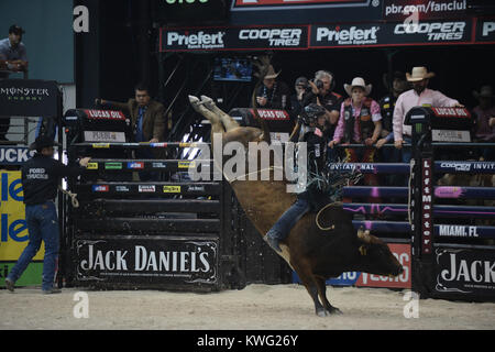 HOLLYWOOD FL - 12 octobre : Le Bull riders professionnels ont ajouté un 27ème cas de la série 2013 Construit Ford Tough l'annexe. L'Hard Rock Live à Hollywood, en Floride, sera l'hôte de la dernière manifestation de la saison régulière de la premiere série bull riding seulement deux semaines avant sa Finale Mondiale 2013 à Las Vegas au Hard Rock Live eu lieu au Seminole Hard Rock Hotel & Casino le 12 octobre 2013 à Hollywood, en Floride . People : Professional Bull Riders Banque D'Images