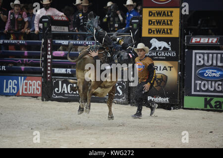 HOLLYWOOD FL - 12 octobre : Le Bull riders professionnels ont ajouté un 27ème cas de la série 2013 Construit Ford Tough l'annexe. L'Hard Rock Live à Hollywood, en Floride, sera l'hôte de la dernière manifestation de la saison régulière de la premiere série bull riding seulement deux semaines avant sa Finale Mondiale 2013 à Las Vegas au Hard Rock Live eu lieu au Seminole Hard Rock Hotel & Casino le 12 octobre 2013 à Hollywood, en Floride . People : Professional Bull Riders Banque D'Images