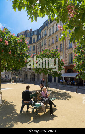 France, Paris, les marronniers en fleurs dans la Place Dauphine Banque D'Images