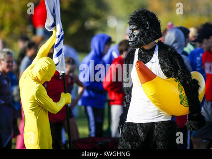 Bettendorf, Iowa, États-Unis. 20 Oct, 2016. Un ventilateur dans un costume de gorille se promène près de la ligne de départ de la classe Iowa 4A état-coed rencontrez pays qualifiés à Crow Creek Park à Bettendorf le Jeudi, Octobre 20, 2016. Les 15 premiers de chaque course sera l'avance à l'état de répondre. Credit : Andy Abeyta/Quad-City Times/ZUMA/Alamy Fil Live News Banque D'Images