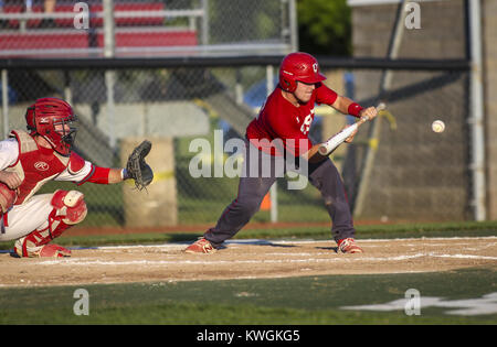 Eldridge, Iowa, États-Unis. 17 juillet, 2017. Davenport West's Conner Saul (16) hits un bunt durant leur jeu à North Scott High School d'Eldridge le lundi 17 juillet 2017. Plus de 500 spectateurs ont assisté au match comme Davenport Ouest Nord défait Scott, 11-2. Credit : Andy Abeyta, Quad-City Times/Quad-City Times/ZUMA/Alamy Fil Live News Banque D'Images