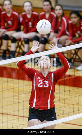 Davenport, Iowa, États-Unis. 13 Sep, 2016. Davenport Ouest Abbi de Tunis (23) définit une boule pour un coéquipier au cours de la deuxième partie de leur match à Davenport Ouest High School le mardi 13 septembre, 2016. Davenport Ouest Nord défait Scott dans trois Credit : Andy Abeyta/Quad-City Times/ZUMA/Alamy Fil Live News Banque D'Images