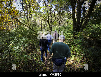 Bettendorf, Iowa, États-Unis. 22 octobre, 2016. Les membres du Black Hawk Club de randonnée à la découverte des sentiers dans la région de Blue Grass le samedi 22 octobre, 2016. Le club de randonnée Black Hawk a marché parmi les six kilomètres de sentiers sur une parcelle de 250 acres de la propriété privée près de Blue Grass. Le club s'approche de sa 97e année et 2,550ème randonnée pédestre comme un club. Credit : Andy Abeyta/Quad-City Times/ZUMA/Alamy Fil Live News Banque D'Images