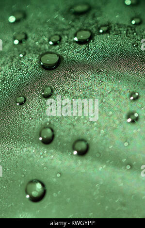 Image macro gouttes de condensation sur la bouteille en plastique Banque D'Images