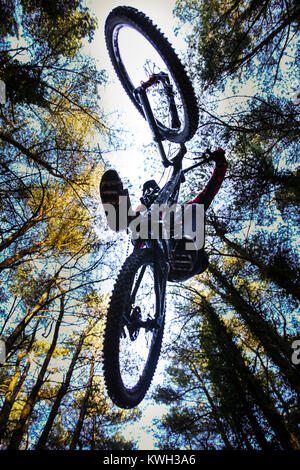 Un vélo de montagne passe par l'air dans une forêt à Pontypool, au Pays de Galles. Photo est prise à partir de la parole, sous la moto/saut. Banque D'Images