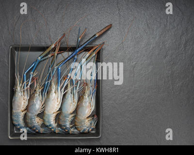 Cinq crevettes ou gambas sur le rectangle noir avec plaque de fond sombre utilisé comme ingrédient pour Tom Yum, Thai soupe aigre et épicée, et des autres pays asiatiques dishe Banque D'Images