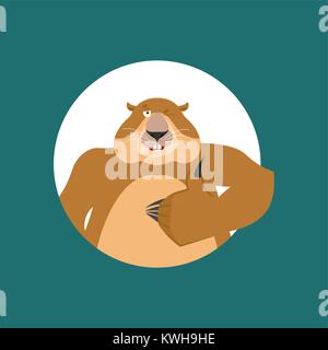 Marmotte Thumbs up et clins d'œil. Marmotte d'heureux caractères emoji. Le jour de la marmotte Vector illustration Illustration de Vecteur