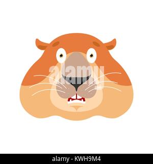 J'avais peur de la marmotte. Oh mon Dieu la marmotte icônes emoji. Marmotte de peur. Le jour de la marmotte Vector illustration Illustration de Vecteur