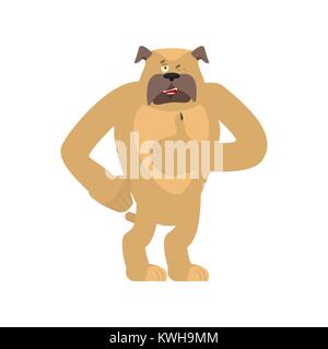 Chien Thumbs up et clins d'œil. Animal heureux caractères emoji. Bulldog Vector illustration Illustration de Vecteur