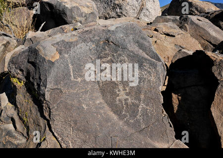 Pétroglyphes couvrent un site dans le désert de Sonora, Coronado National Forest, Catalina, Arizona, USA. Banque D'Images