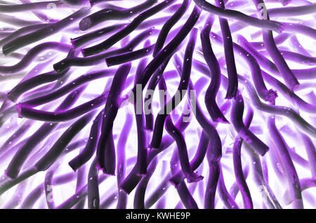 Abstract design avec des bâtons en bois Banque D'Images