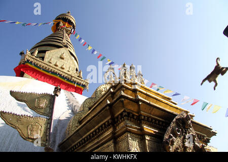 Monkey jump sur le Swayambhunath Stupa à Katmandou, Népal Banque D'Images