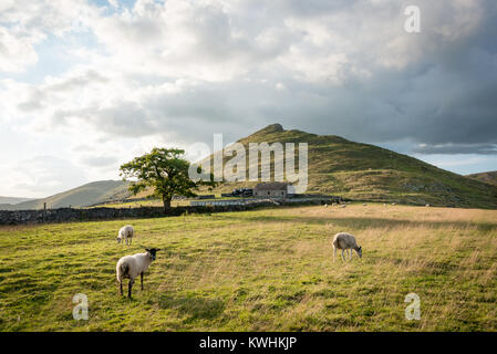 Cloud Thorpe hill de Dovedale sur la frontière de Derbyshire, Angleterre/Staffordshire Banque D'Images