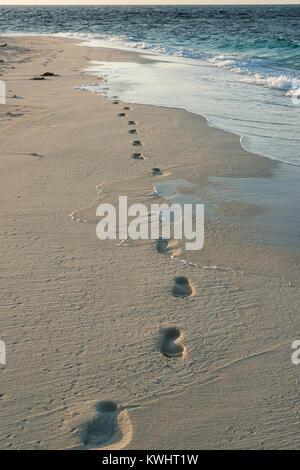 Traces dans le sable sur une plage tropicale, blanc Banque D'Images