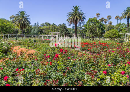 El Rosedal de Palerme, parc Bois de Palermo, Buenos Aires, Argentine Banque D'Images