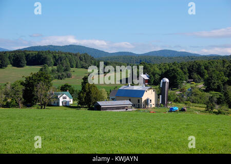 Paysage agricole, East Montpelier, Vermont, en été. Banque D'Images