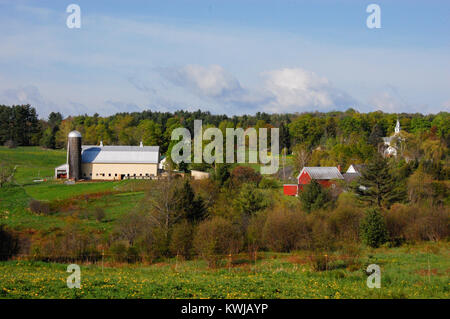 Paysage agricole, East Montpelier, Vermont, en été. Banque D'Images