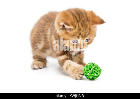 Petit Chaton orange et de boules colorées, isolated on white Banque D'Images