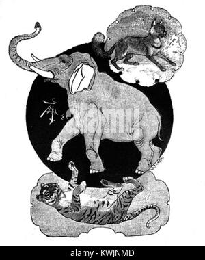 Une illustration de Benito Pérez Galdós 'la Segunda casaca' représentant le personnage de Zorro avec un tigre et un éléphant. La scène met en lumière les éléments aventureux et imaginatifs de l'œuvre littéraire de Galdós. Banque D'Images