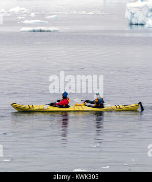 Les kayakistes explorer l'Île Cuverville couvertes de neige ; l'Antarctique Banque D'Images