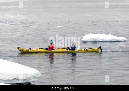 Les kayakistes explorer l'Île Cuverville couvertes de neige ; l'Antarctique Banque D'Images