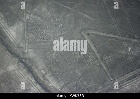 Photo aérienne de l'Araignée figure à lignes de Nazca vu de l'avion, les lignes de Nazca, Pérou Banque D'Images