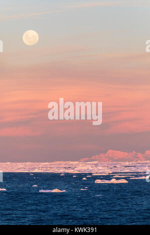 Pleine lune s'élève au-dessus de l'Antarctique ; paysage Rongé ; île de la péninsule Arctowski Banque D'Images