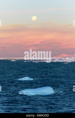 Pleine lune s'élève au-dessus de l'Antarctique ; paysage Rongé ; île de la péninsule Arctowski Banque D'Images