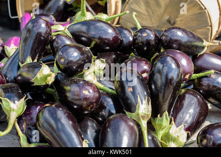 Aubergine cultivés localement sur table au marché fermier de plein air Banque D'Images