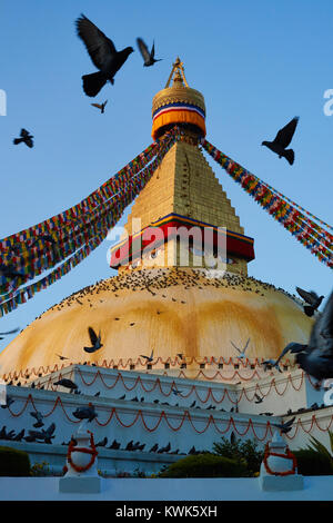 Les pigeons voler autour du stupa bouddhiste de Boudhanath, Katmandou, Népal Banque D'Images