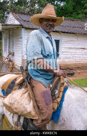 Paysan créole l'équitation dans la région de Pinar del Rio, Cuba Banque D'Images