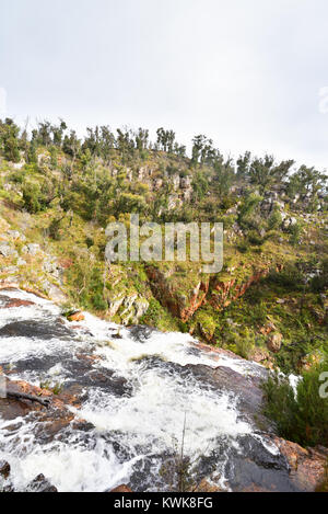 Victoria en Australie. Donnant sur la liste déroulante de la Mackenzie Falls dans le Parc National des Grampians. Banque D'Images